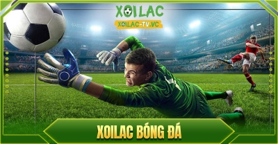 Xoilac tv - Chuyên kênh xoilac.ink bóng đá online đỉnh cao cho fan hâm mộ